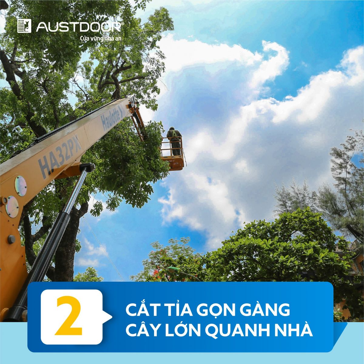 2. Cắt tỉa gọn gàng những cây quanh nhà